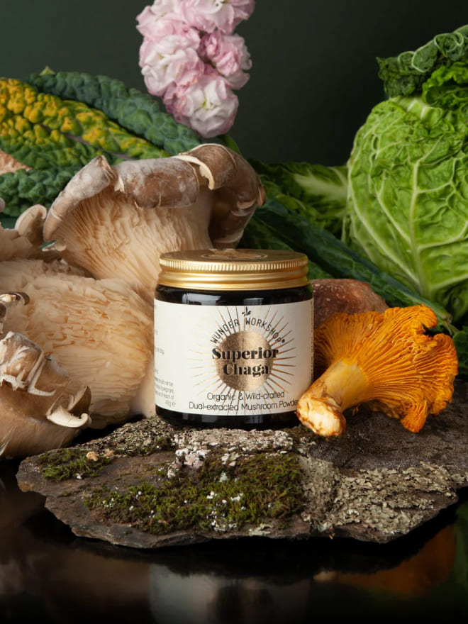 Wunder Chaga 40g